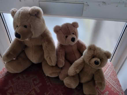 Photo of free Family of teddies (Melbourn Royston) #1