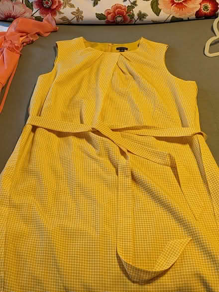 Photo of free Dresses size 16 (Anacostia) #2