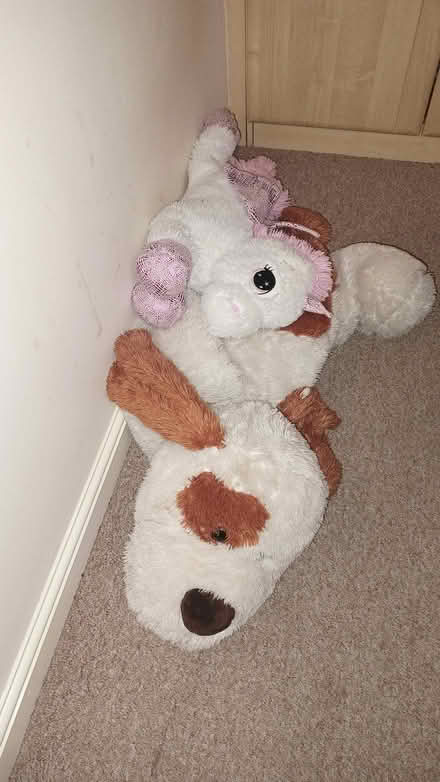 Photo of free Baby girl items (Richmond S13) #3