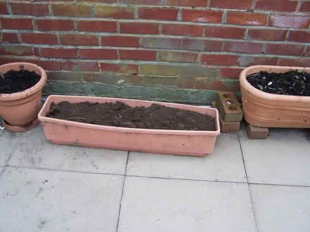Photo of free flower pots + watering pots for grow bags (Mossley OL5) #3