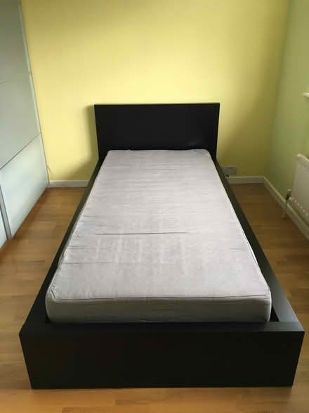 Photo of free Ikea Malm Single bed, black (Cranleigh GU6) #1