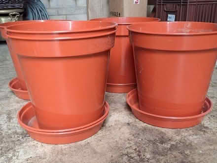 Photo of free Flower pots (Biddestone SN14) #3