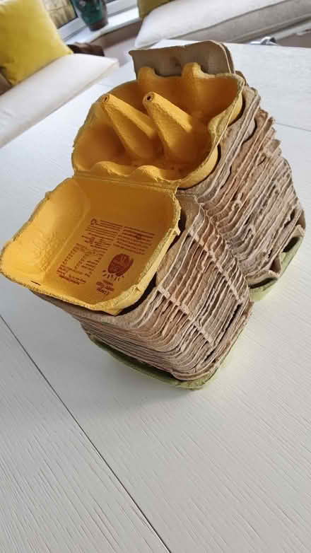 Photo of free Stack of 6-egg eggboxes - any chicken keepers out there...? (Mimbridge GU24) #1