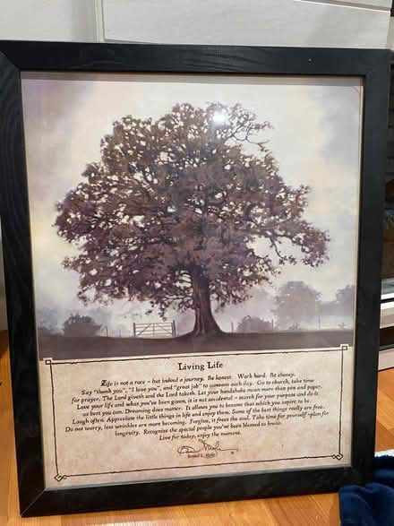 Photo of free Picture in frame (Oregon) #1