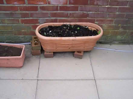 Photo of free flower pots + watering pots for grow bags (Mossley OL5) #1