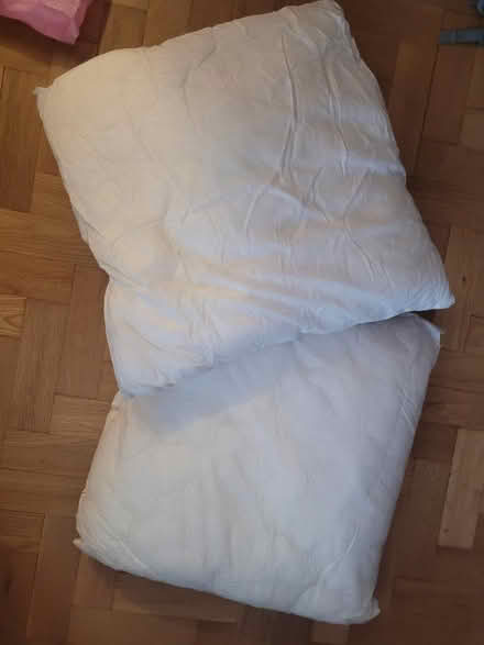 Photo of free 2 x 55cm cushion pads (Letchworth SG6) #1