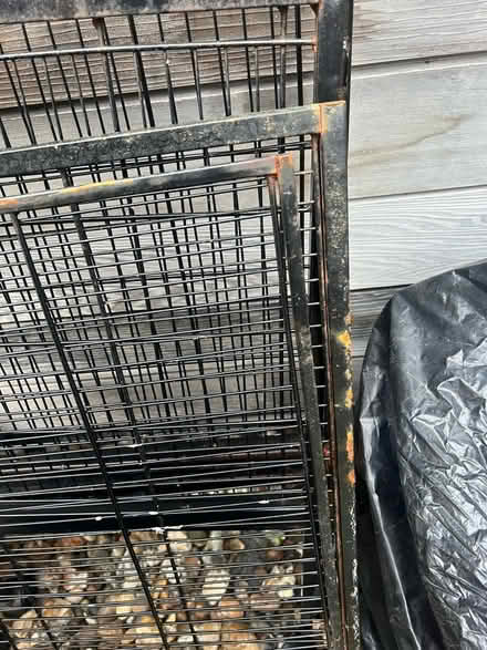 Photo of free Large bird cage (Hackney Central) #1
