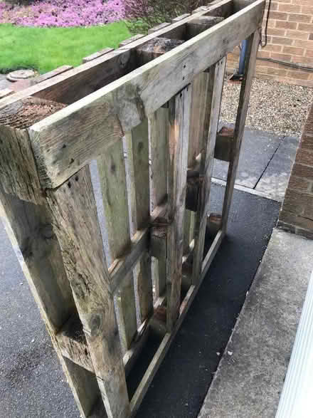 Photo of free Wooden pallet (Gosforth NE3) #1