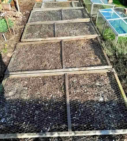 Photo of free Chickenwire panels (Blackness TN6) #1