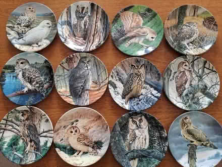 Photo of free Owl wall plates (Eastbourne BN21) #1