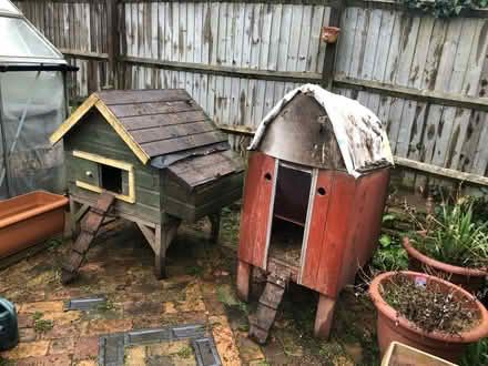 Photo of free Chicken houses (Shifnal TF11) #1