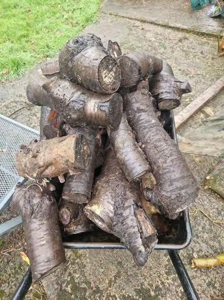 Photo of free Logs (SL8 Bourne End) #1