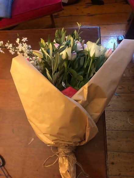 Photo of free Flowers (Harolds cross) #3