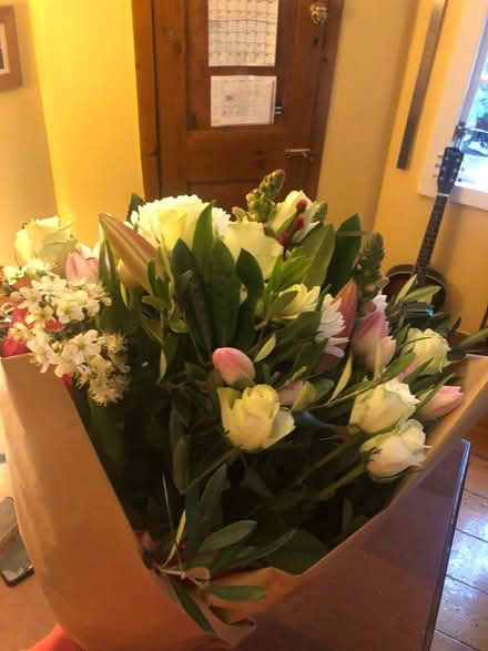 Photo of free Flowers (Harolds cross) #1