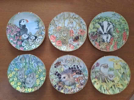 Photo of free Wildlife wall plates (Eastbourne BN21) #1