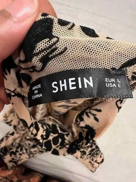 Photo of free Shein Mesh Top (HA0) #1