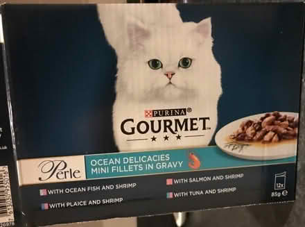 Photo of free Cat food (North Tonbridge TN10) #1