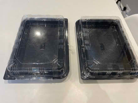 Photo of free 2 Lidded trays for food/propagation? (Widcombe) #1