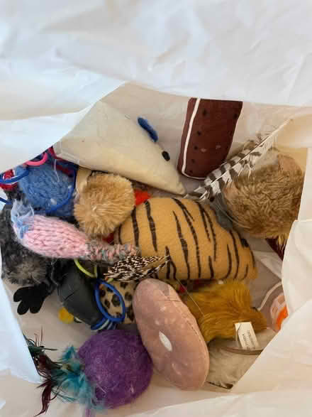Photo of free cat toys (Marchmont EH9) #1