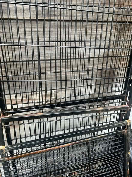 Photo of free Large bird cage (Hackney Central) #4