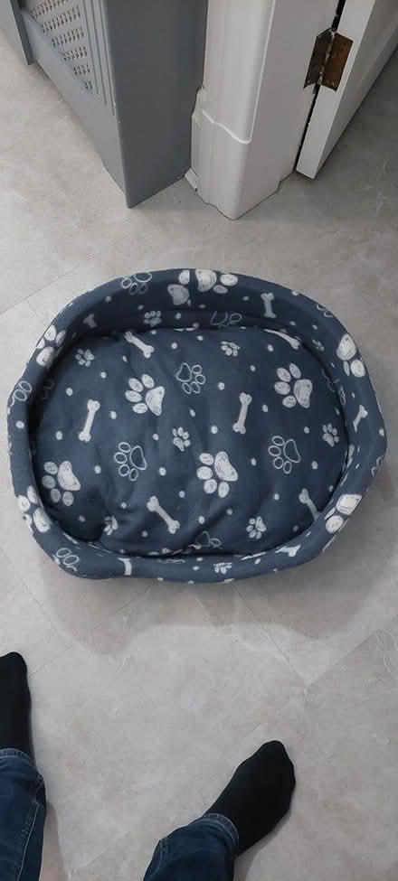Photo of free Dog Bed (Radcliffe M26) #1