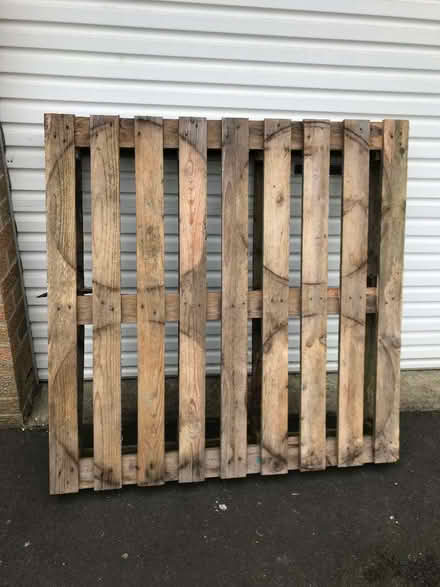 Photo of free Wooden pallet (Gosforth NE3) #2