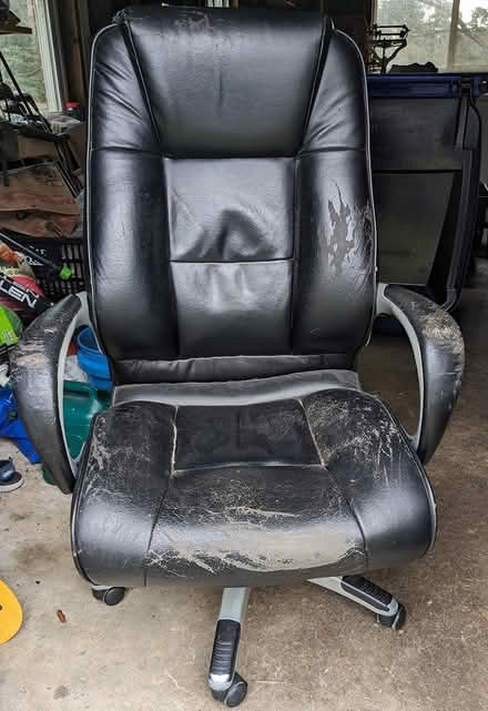 Photo of free Executive Desk chair (clearwater lake) #1