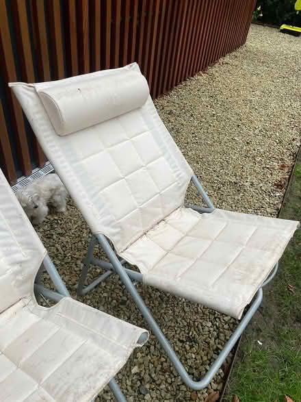 Photo of free Two deck chairs (Clontarf) #1