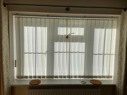 Photo of free Vertical Blinds (Seaton EX12) #1