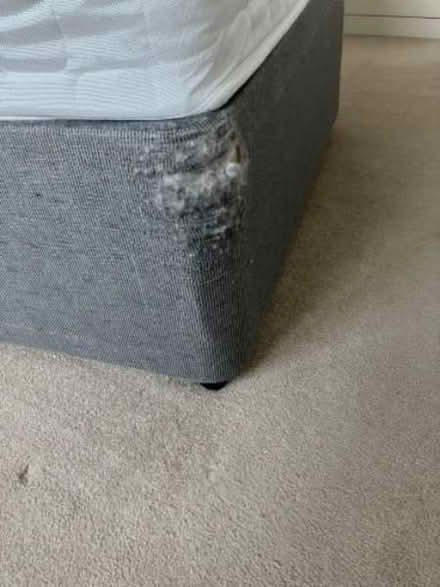 Photo of free Single divan base & mattress (Emmbrook RG41) #2