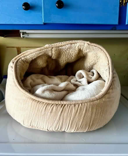 Photo of free Cat/Dog Bed (South San Jose) #1
