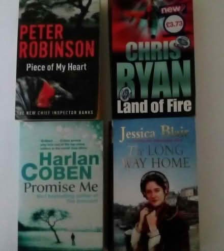 Photo of free paperback novels (West Moors BH22) #1
