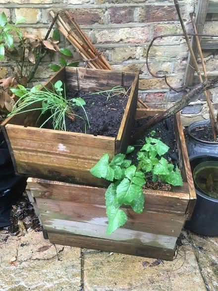 Photo of free planters, compost, watering can (W6) #1