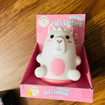 Photo of free Kids Llama lantern (Columbia) #2