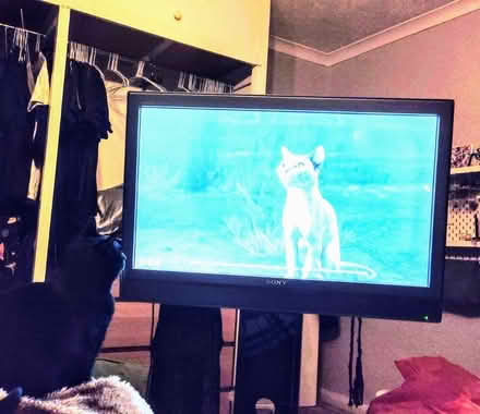 Photo of free 40" Sony Bravia TV + TV Stand (SM1) #2