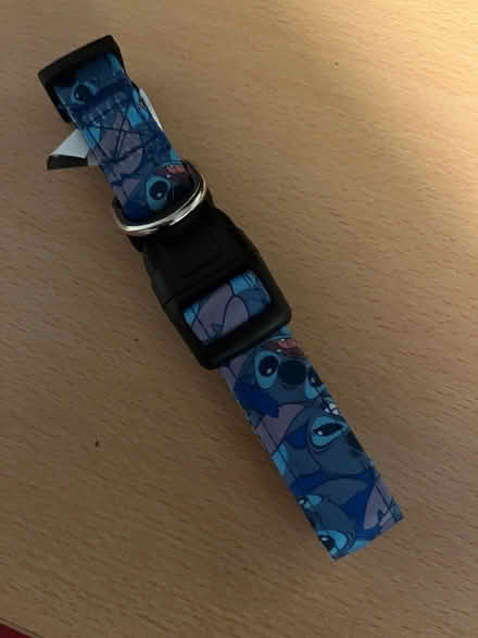 Photo of free Lilo and stitch dog lead (Upper Beeding) #1