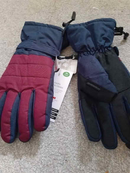 Photo of free Adult ski gloves - medium (Crown Wood RG12) #1
