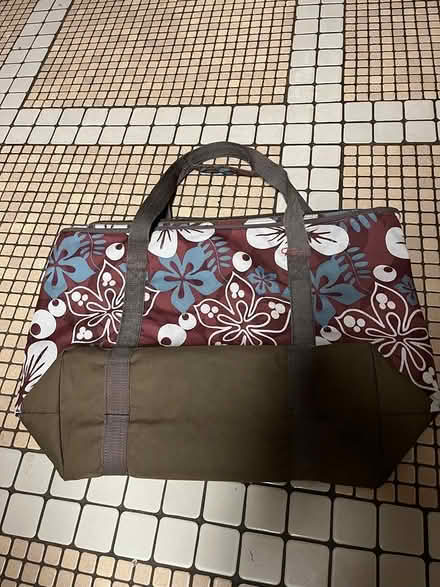 Photo of free Insulated bag (Midtown Sacramento) #1