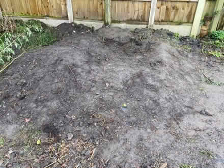 Photo of free Soil - subsoil, low quality (Wem SY4) #1