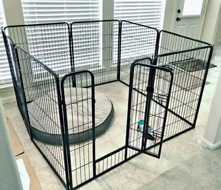 Photo of Pet fence (Danbury) #1