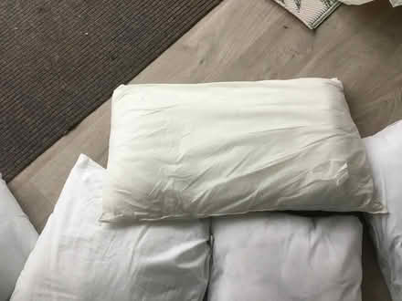 Photo of free 6 pillows and 2 double duvets (SO32 Swanmore) #3