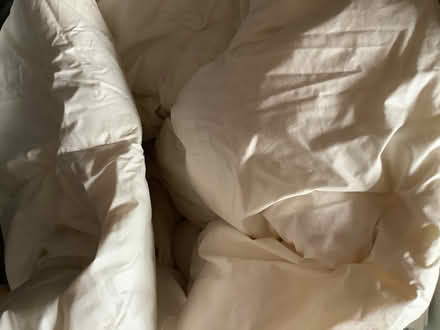 Photo of free Two single duvets (Warminster BA12) #1