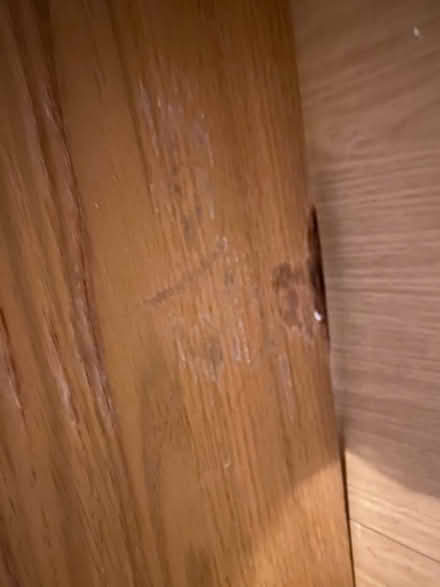 Photo of free Ikea wood effect Billy bookcase (Malmesbury SN16) #4