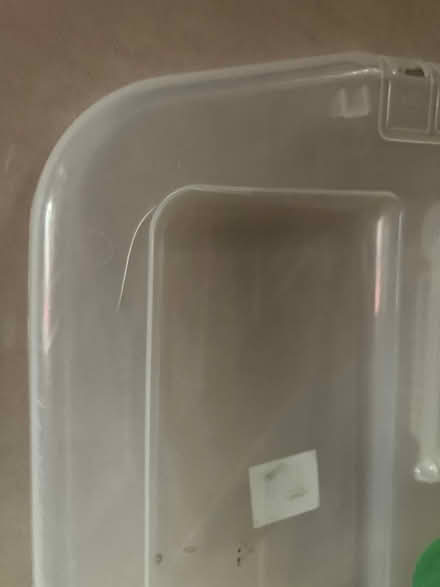 Photo of free Plastic, storage box with lid (Bilton CV22) #1