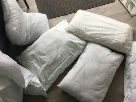 Photo of free 6 pillows and 2 double duvets (SO32 Swanmore) #1