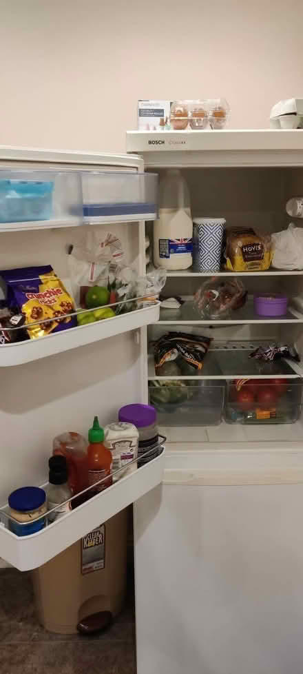 Photo of free Bosch Fridge Freezer in good condition (Witham CM8) #2
