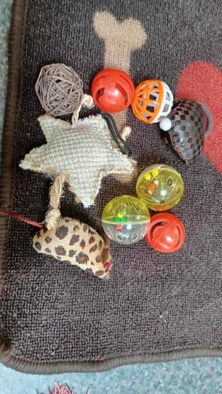 Photo of free Whicker cat basket plus cat/kitten toys. (Canton CF11) #1