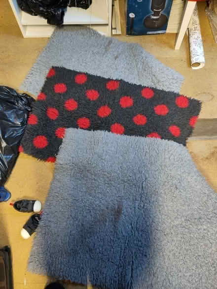 Photo of free 3 dog mats (Kings Heath B14) #1