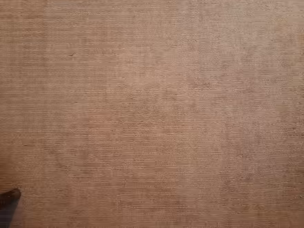 Photo of free Extra large rug (3m x 2m) (Staines-Upon-Thames, TW18) #2