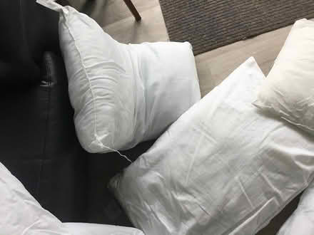 Photo of free 6 pillows and 2 double duvets (SO32 Swanmore) #4